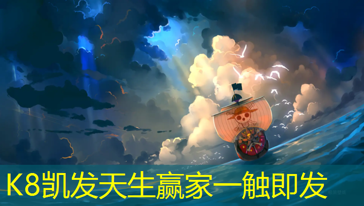 K8凯发天生赢家一触即发：瑞升塑胶跑道