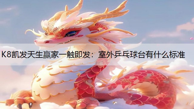 室外乒乓球台有什么标准