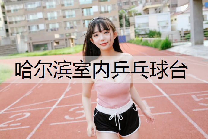 哈尔滨室内乒乓球台